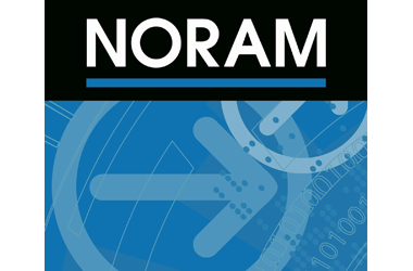 NORAM Engineering and Constructors Ltd
